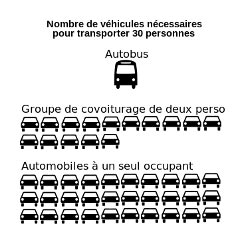 Navette de transport pour vos invités